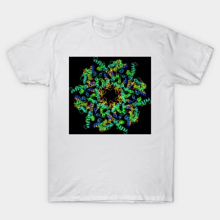 HIV-1 capsid in intact virus particle (F012/1041) T-Shirt